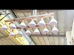 Vendita calda biscotto mason vaso di plastica con prezzo basso